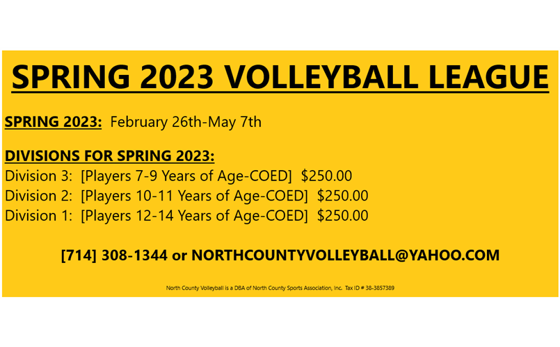 SPRING 2023 VOLLEYBALL LEAGUE