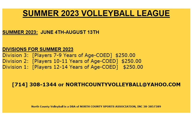 SUMMER 2023 VOLLEYBALL LEAGUE