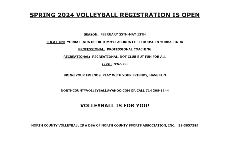 SPRING 2024 VOLLEYBALL LEAGUE