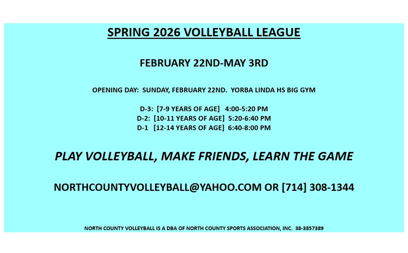 SPRING 2026 VOLLEYBALL LEAGUE